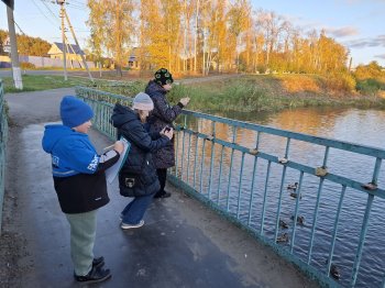 ВСЕМИРНЫЕ ДНИ НАБЛЮДЕНИЯ ПТИЦ 