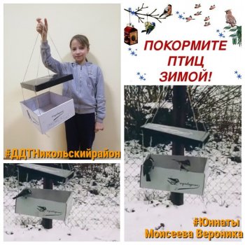 Акция "Покормите птиц зимой".