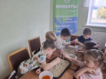 "ЭКОЛЯТА - ДОШКОЛЯТА"